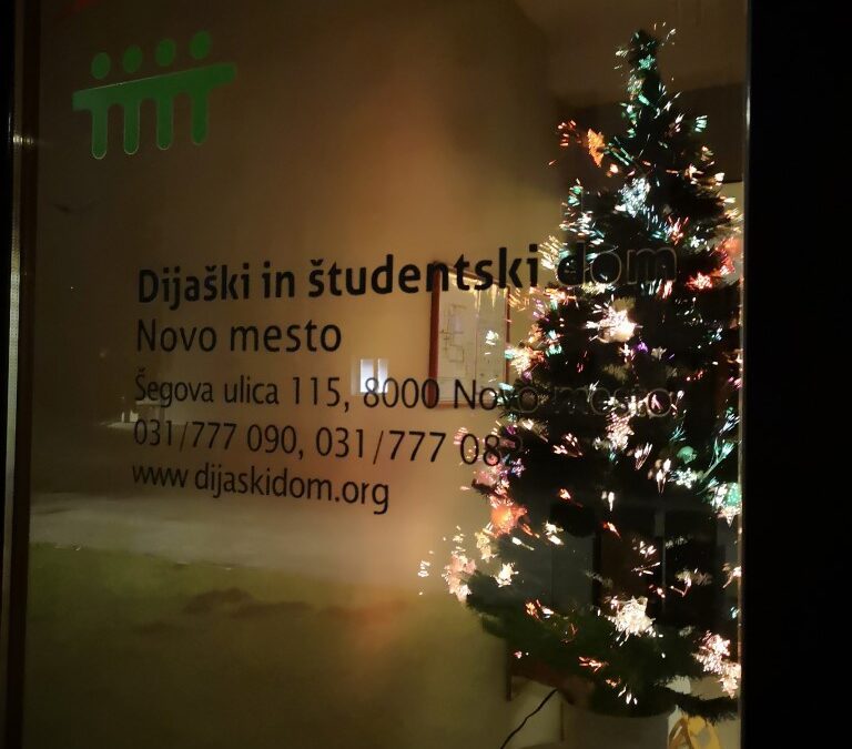 Novoletna okrasitev avle dijaškega doma