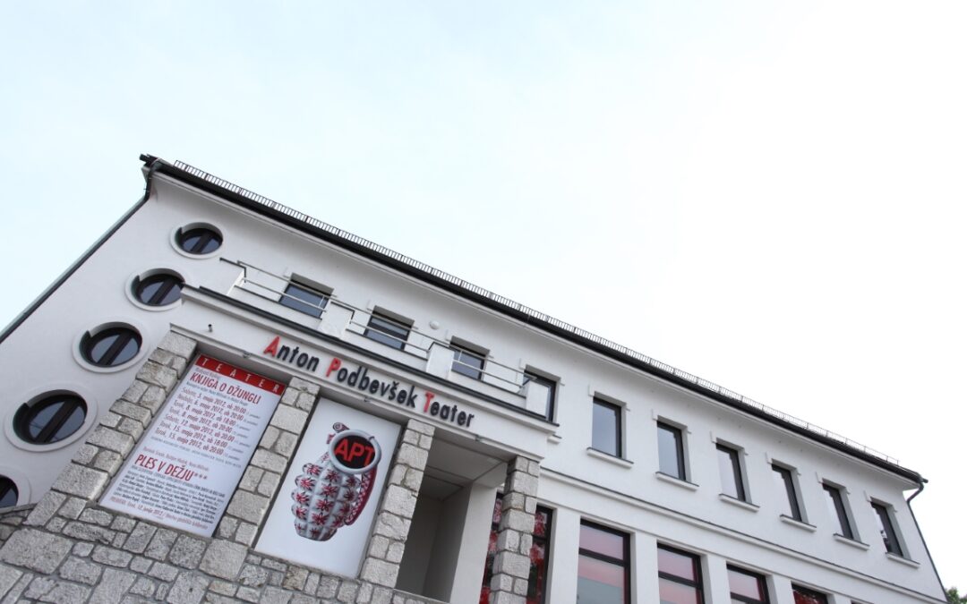 Skupinski ogledi gledaliških predstav v Anton Podbevšek teatru