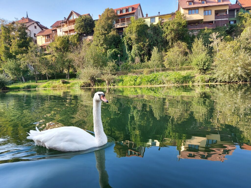 20220906_172525