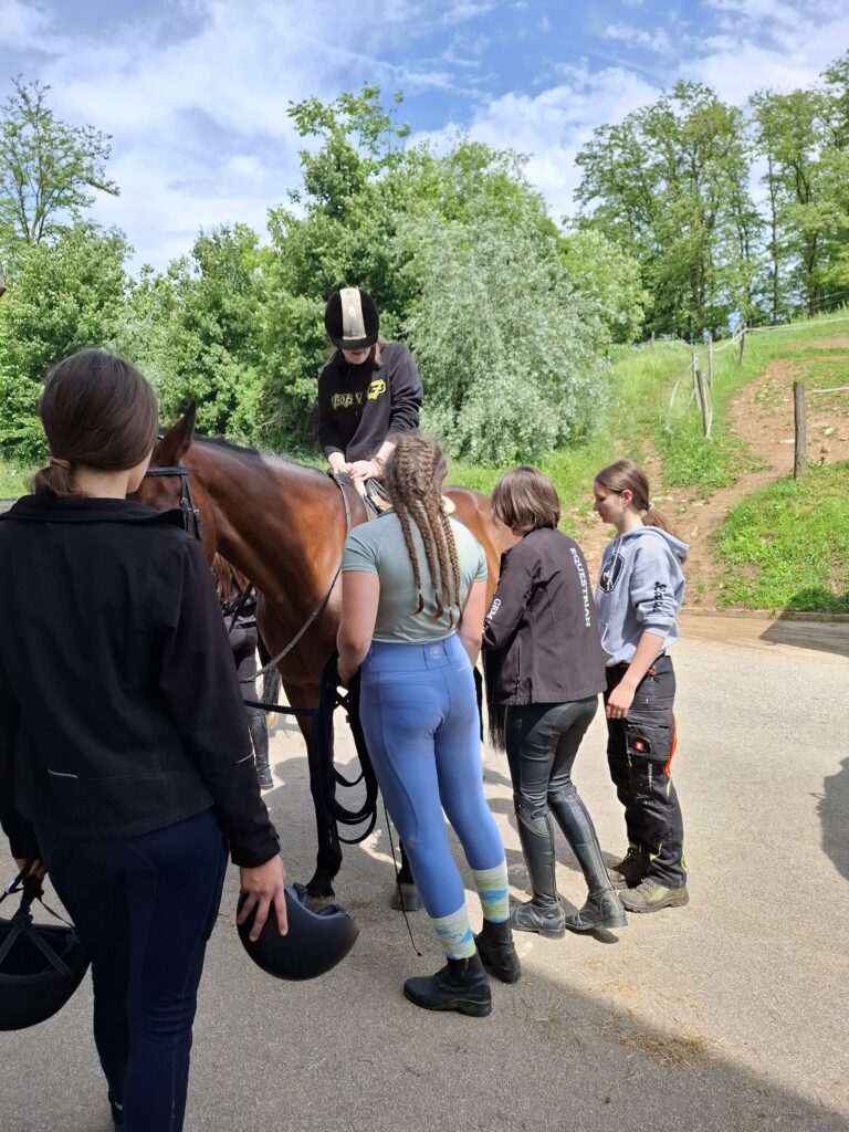 Obisk posestva na CBT Novo mesto.