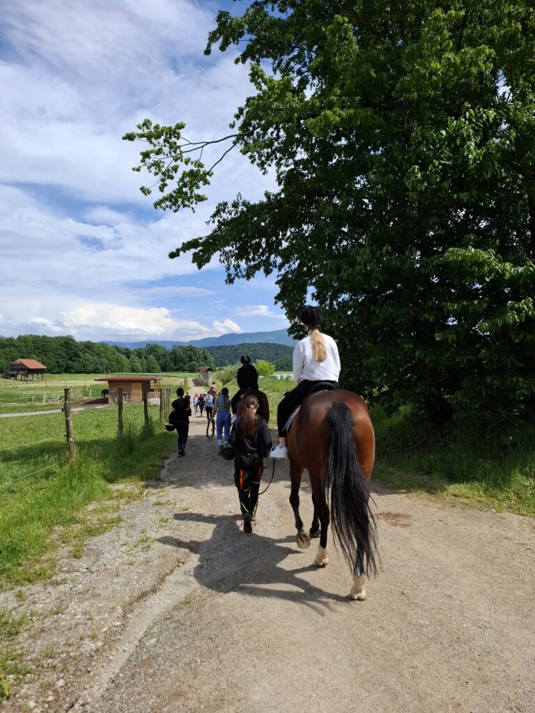 Obisk posestva na CBT Novo mesto.