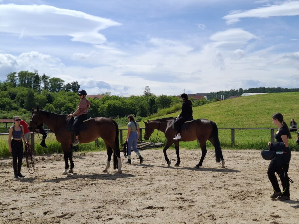 Obisk posestva na CBT Novo mesto.